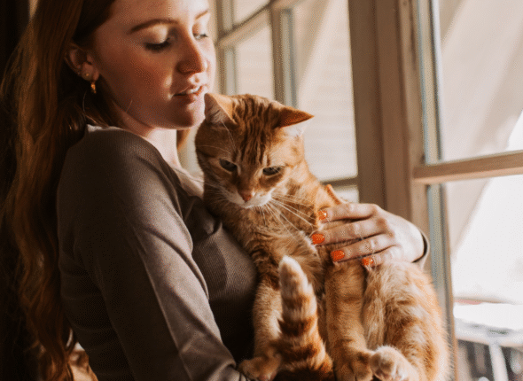 Quand s'inquiéter pour son animal ?