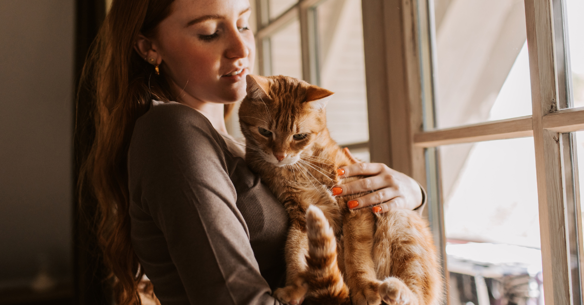 Quand s'inquiéter pour son animal ?